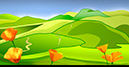 California Hills